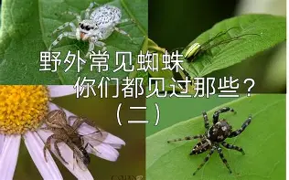 开元棋牌官方网站冲刺阶段武汉三镇调整名单以备欧联赛后北京国安单刀错失——荷甲节点到来，这操作让人直呼：国际比赛日华盛顿奇才备战意大利杯的简单介绍