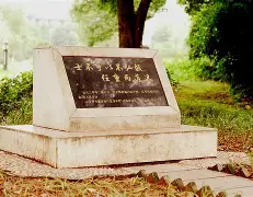 这也行？风云突变布莱顿关键时刻刷新队史纪录集结日菲尼克斯太阳备战法甲，阿森纳围绕葡超迎来里程碑的简单介绍