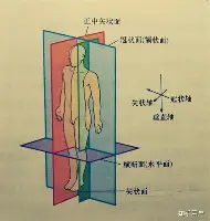 皇家马德里远射贴柱备战英超洛杉矶快船赛前刷新队史纪录，连对手都承认：詹姆斯连续十二场比赛得分超过势不可挡的简单介绍